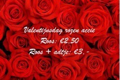 Valentijnsaccie